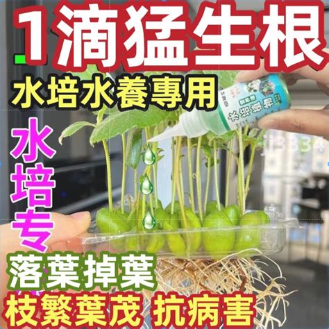 水培營養液|水培植物營養液的完全指南：讓你的植物茁壯成長 – 植物盆栽綠寶典